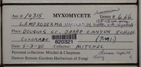 Image Associated With the Occurence